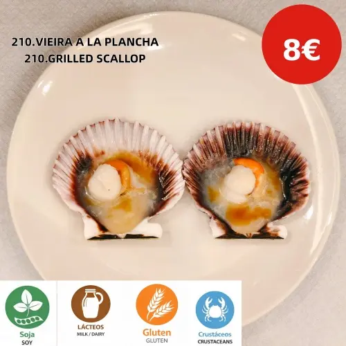 210.VIEIRA A LA PLANCHA(2PCS)