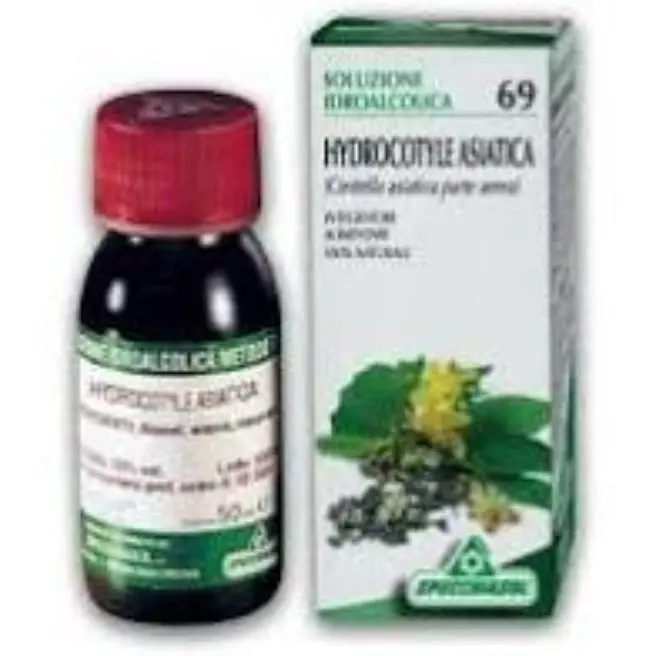 69-CENTELLA ASIATICA(HYDROCOTYLE ASIATICA) 50 ml