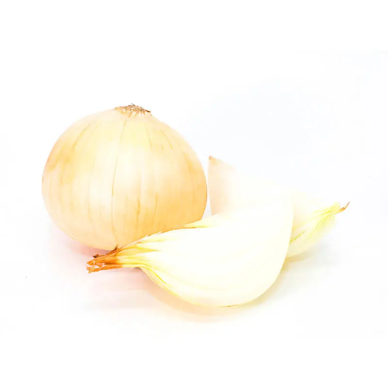 Cebolla