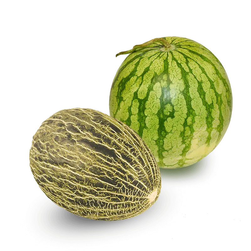 Cesta Melón y Sandía