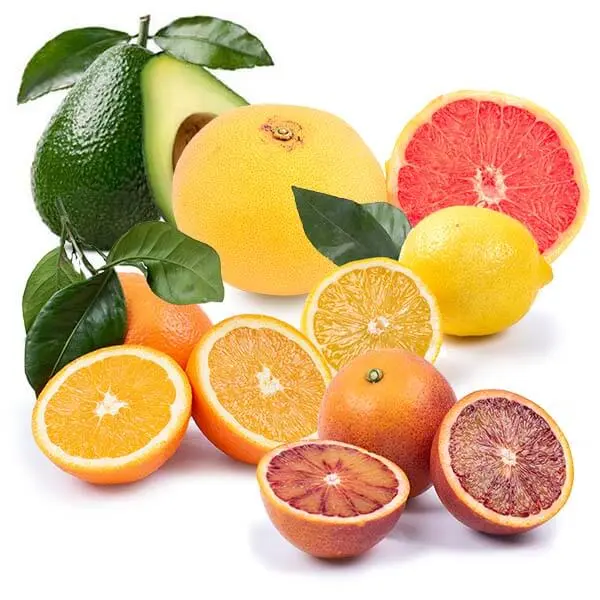 Cesta Mini Naranjas Estándar, Sanguinas, Aguacates, Limones y Pomelos