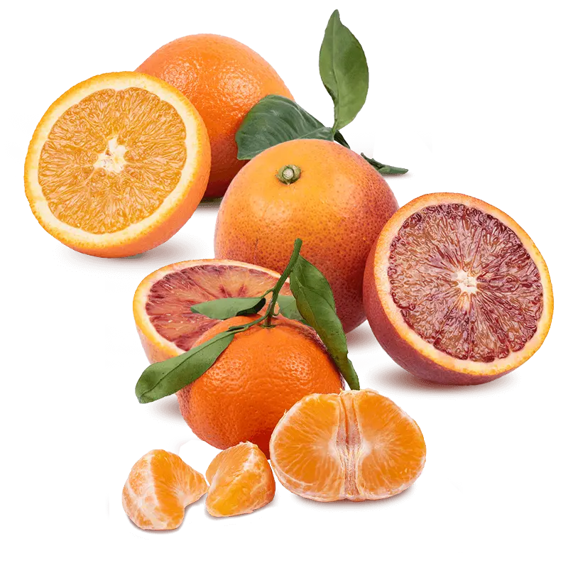 Cesta Naranjas de Mesa, Mandarinas y Naranjas Sanguinas