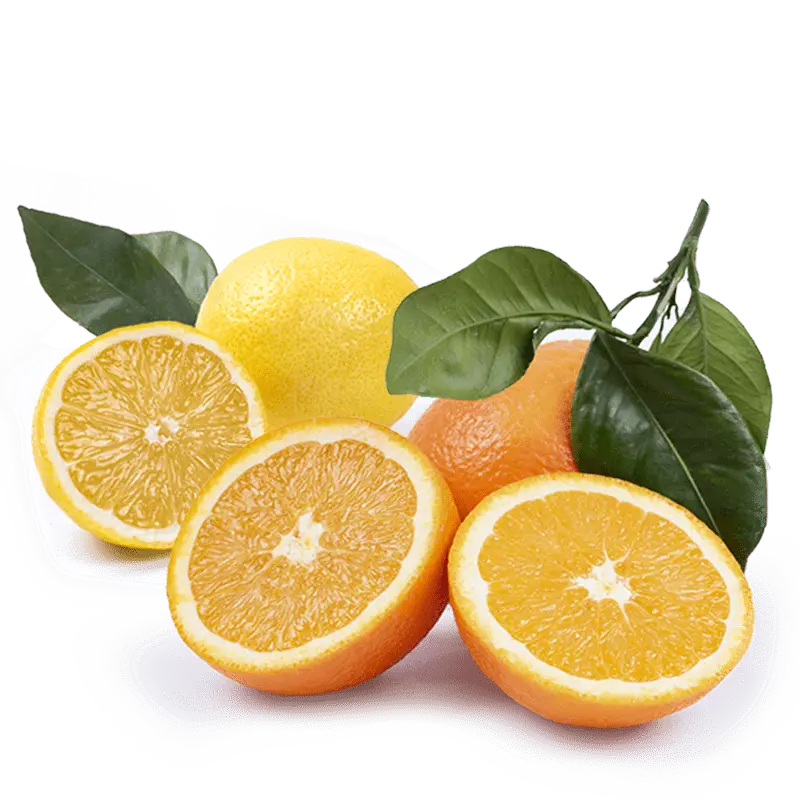 Cesta Naranjas de Mesa y Limones
