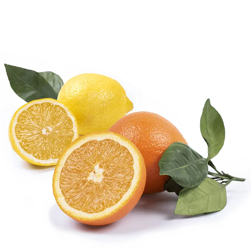Cesta Naranjas de Zumo y Limones