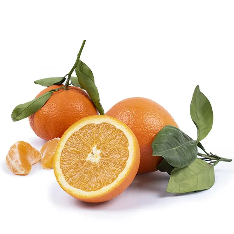 Cesta Naranjas de Zumo y Mandarinas