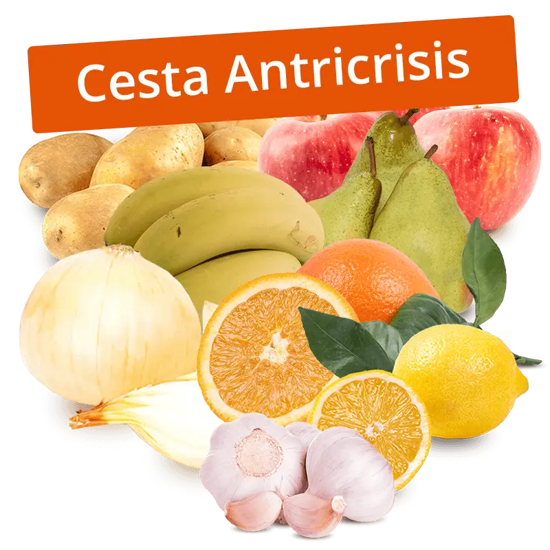 Cesta Patatas, Cebollas, Ajos, Naranjas, Plátanos, Manzanas, Peras Condesa y Limones