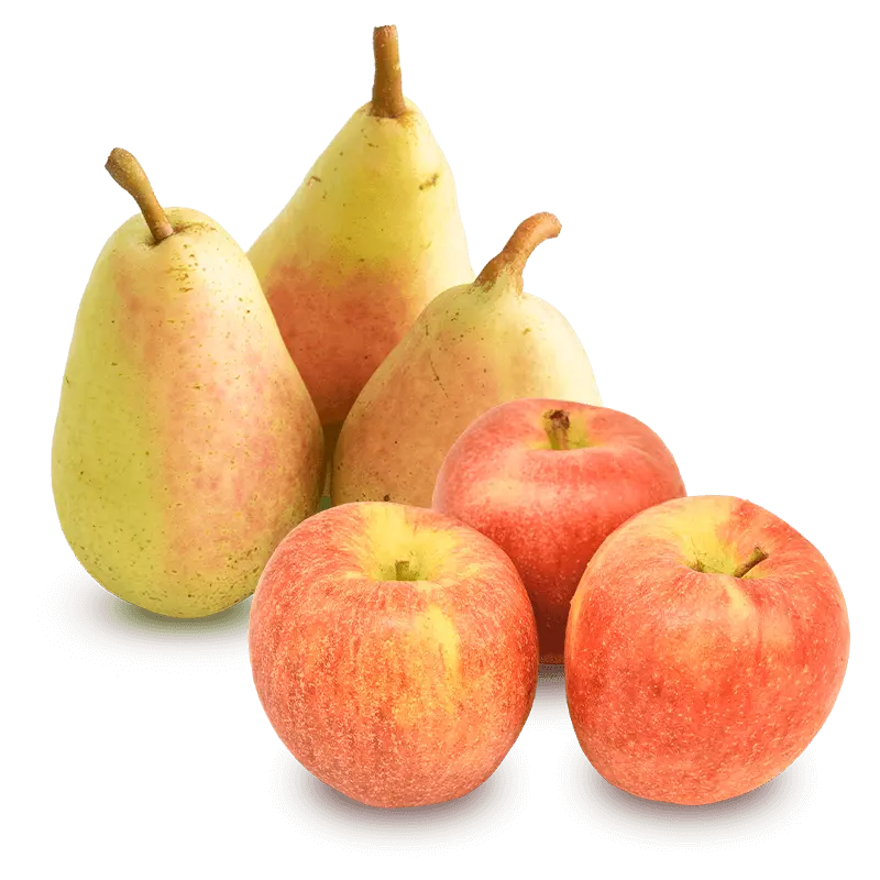 Cesta Pera Ercolina y Manzana