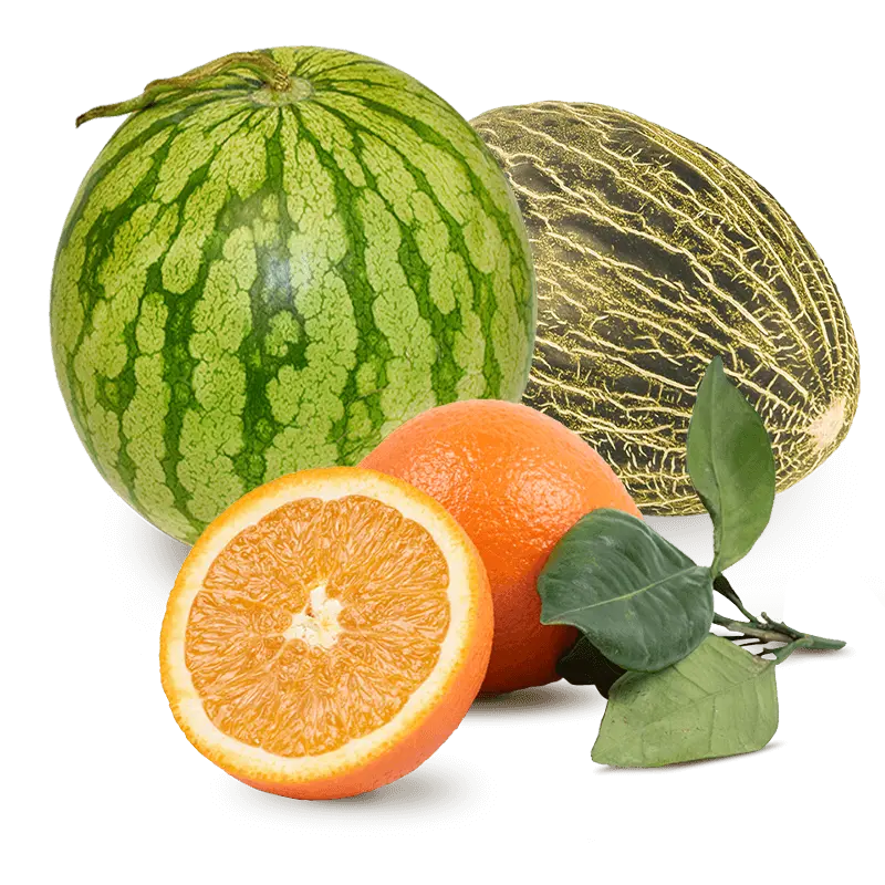 Cesta Sandía, Melón y Naranjas de zumo
