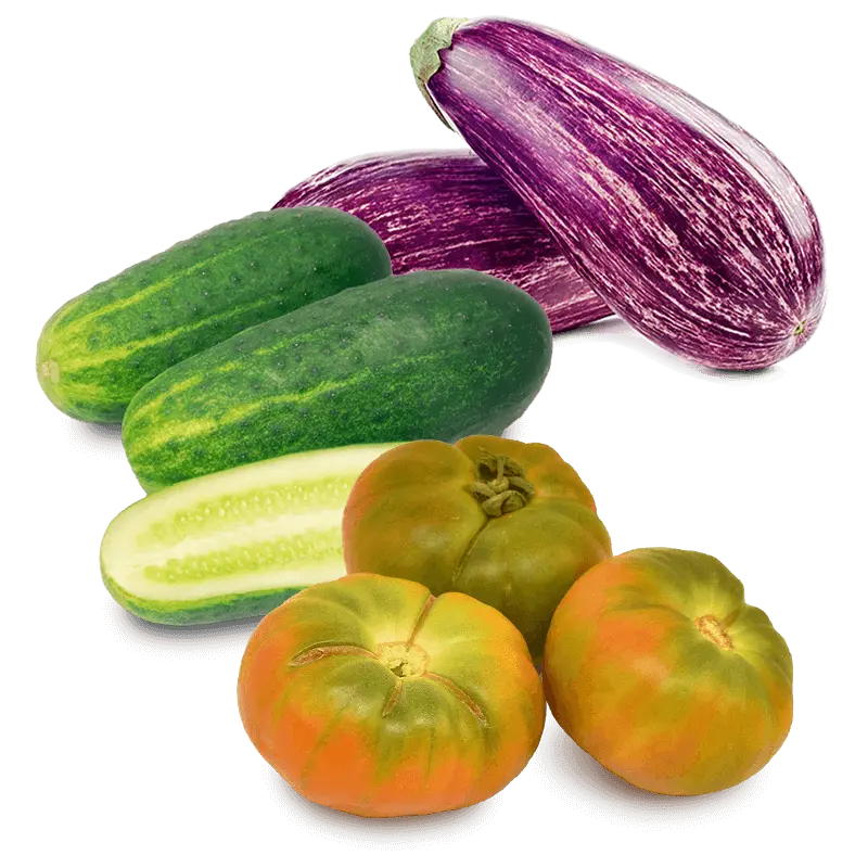 Cesta Tomate, Pepinos y Berenjenas