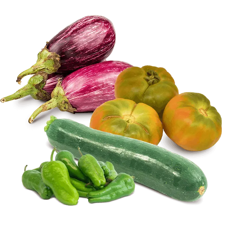Cesta Tomates, Calabacín, Berenjenas y Pimiento de Padrón