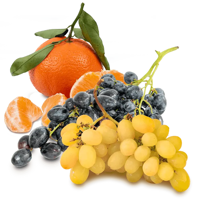 Cesta Uva blanca, uva negra y mandarinas