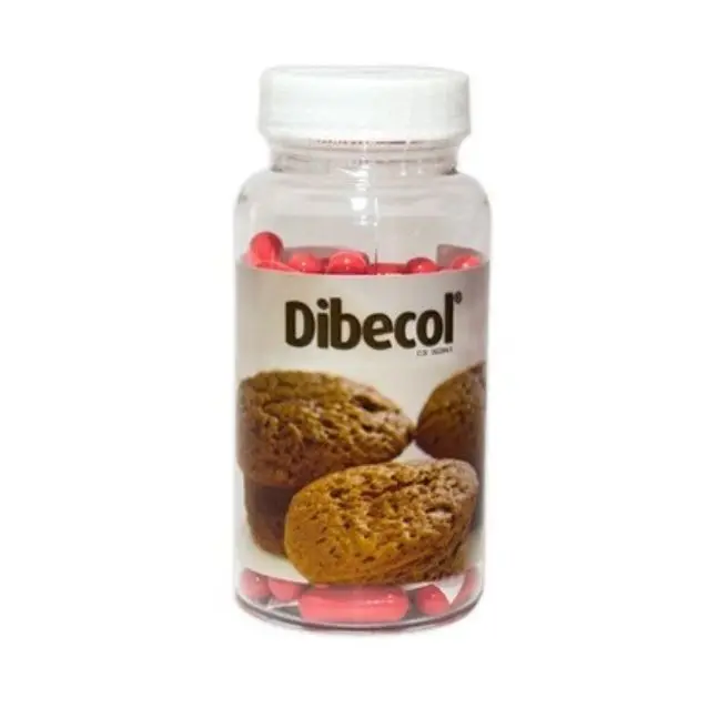 DIBECOL GLUCO 120 mg 90 Caps