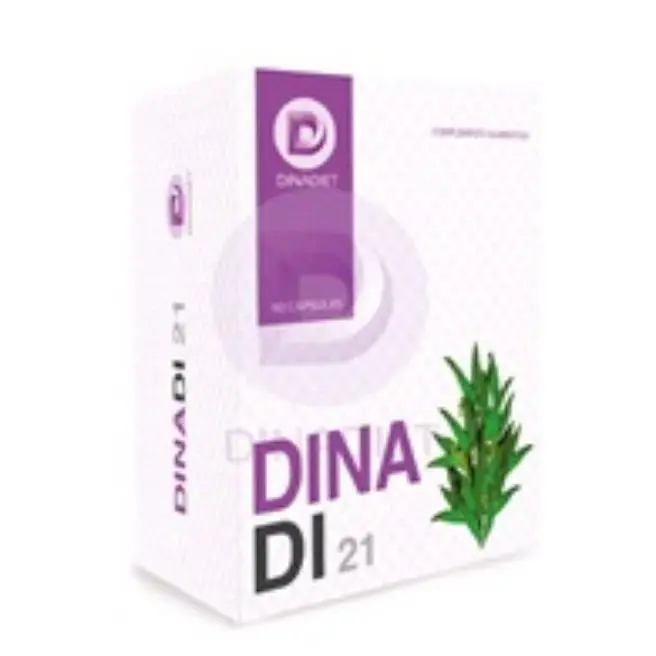 DINADI 21 500 mg 90 Caps