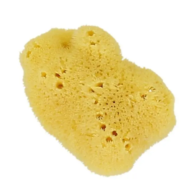 ESPONJA MARINA NATURAL EXTRA SUAVE FACIAL TALLA M