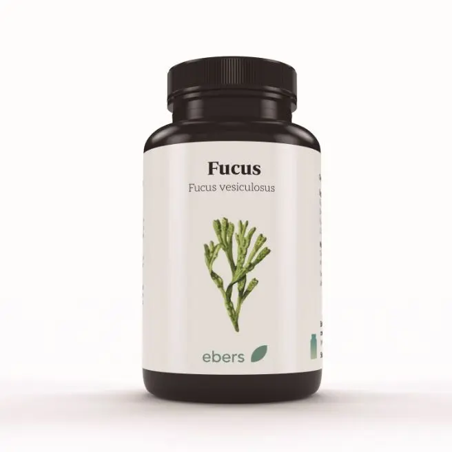 FUCUS 500 mg 100 Comp