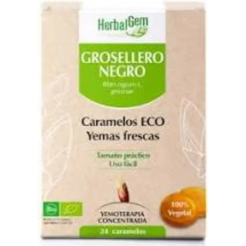 GROSELLERO NEGRO BIO 24 CARAMELOS