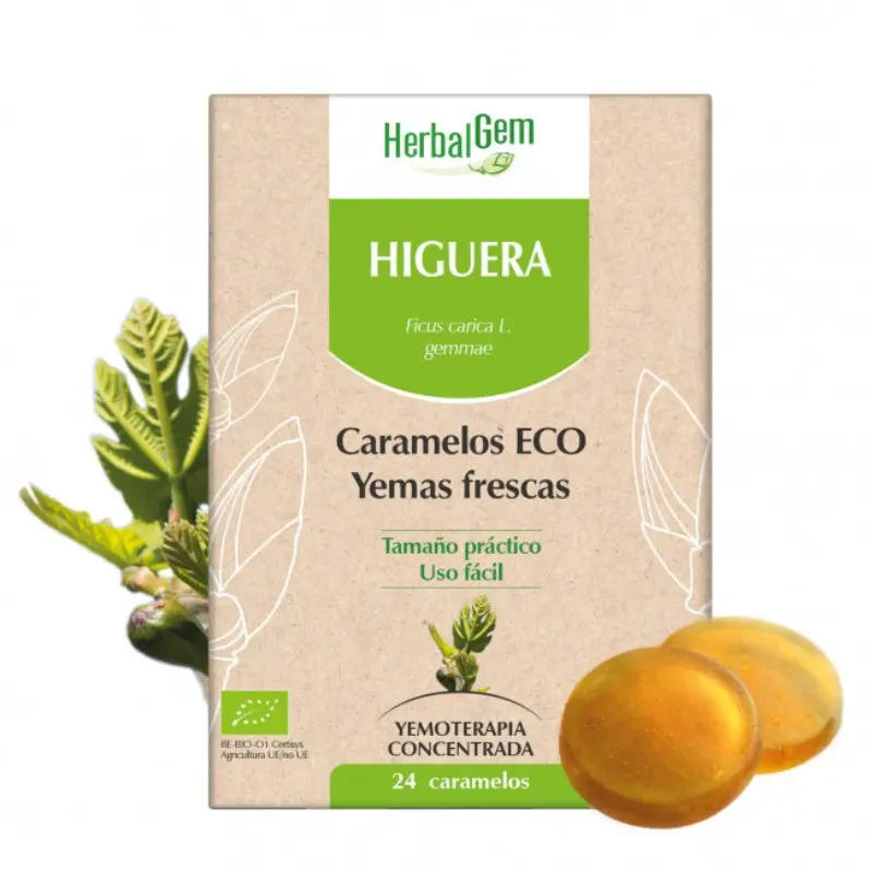 HIGUERA BIO 24 CARAMELOS