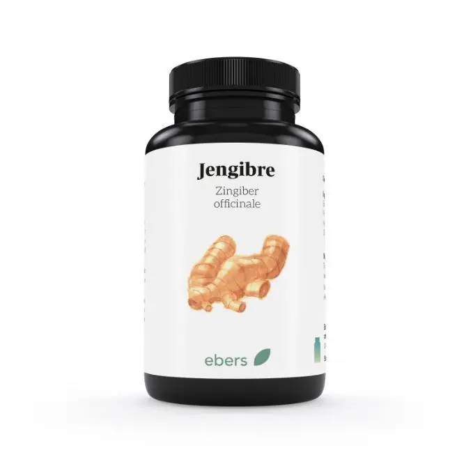 JENGIBRE 500 mg 50 Comp