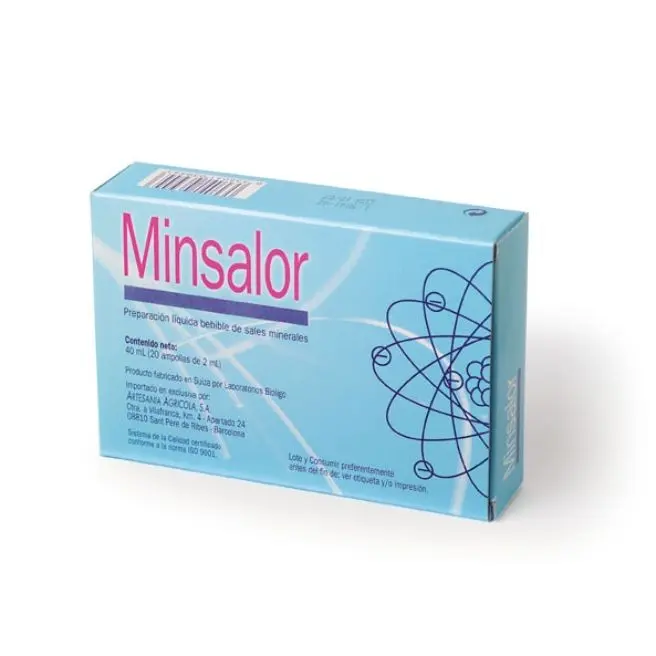 MINSALOR 20 Amp
