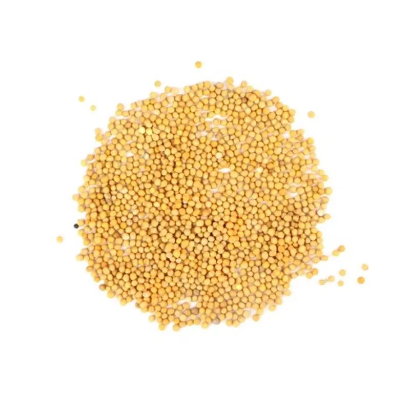 MOSTAZA AMARILLA EN GRANO 1 KILO