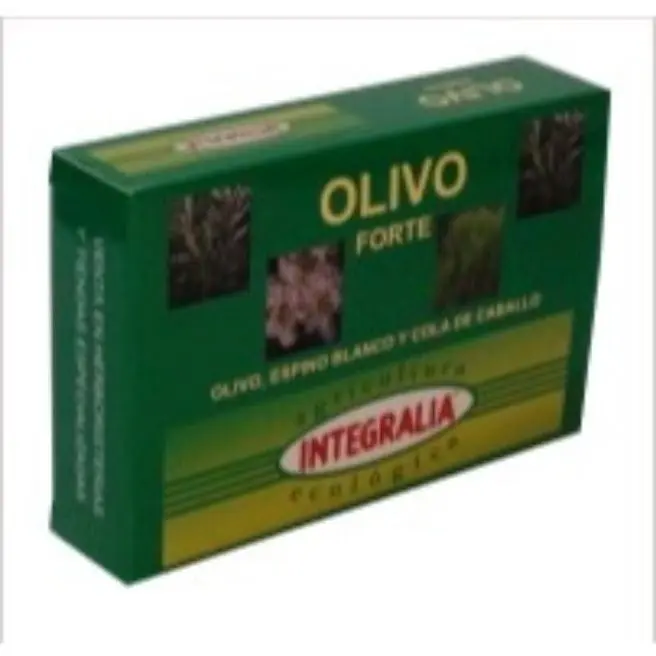 OLIVO FORTE ECO 60 Caps