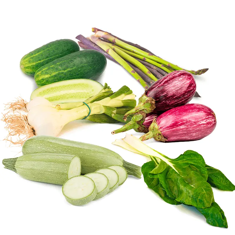 Pepino calabacín berenjena cebolla tierna espárrago verde acelga