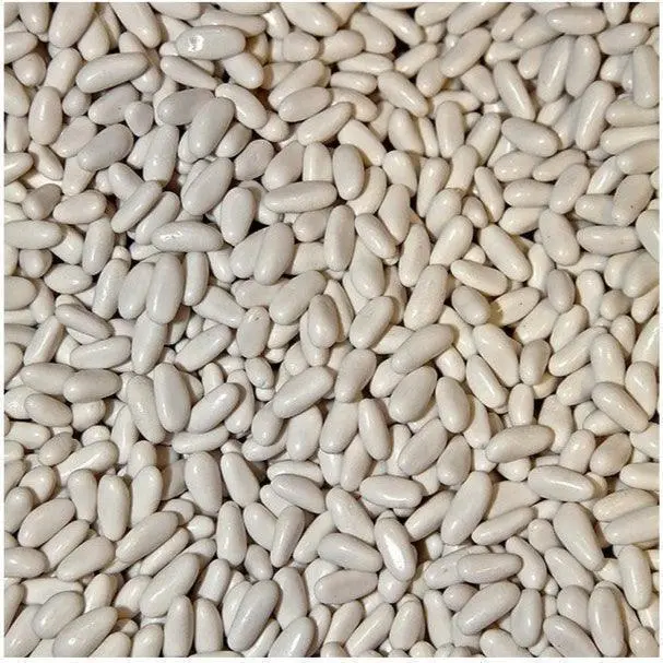 Piñón blanco