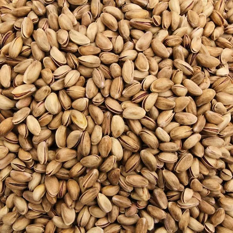 Pistacho Turco