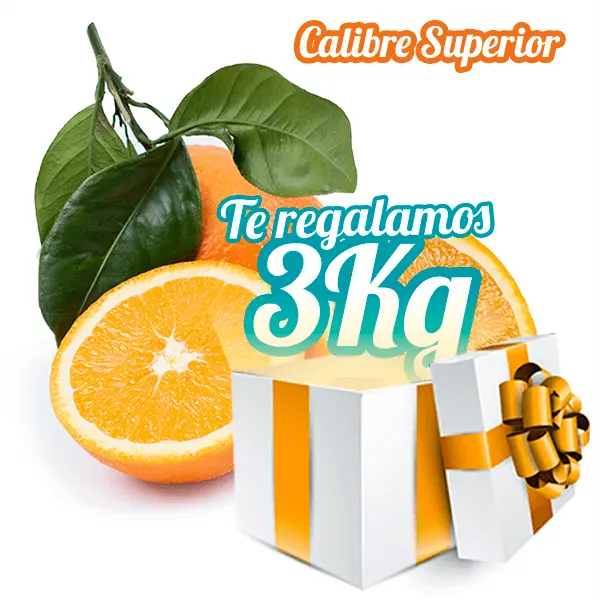 ★PROMO★ Naranjas de Mesa Calibre Superior 10Kg + 3Kg Gratis