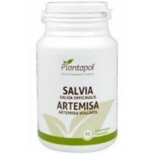 SALVIA Y ARTEMISIA 90 COMPRIMIDOS 530 MG