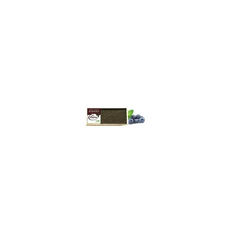 TURRON BIO CHOCOLATE-ARANDANOS 200g