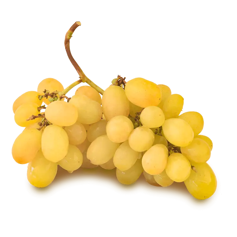 Uva blanca 1K