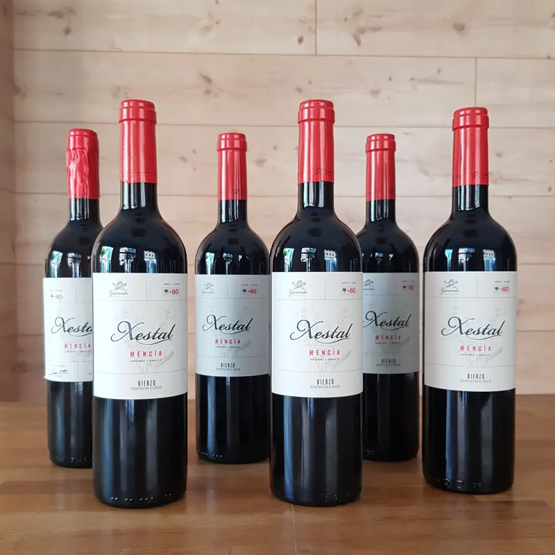 Vino tinto Xestal D.O. Bierzo - Caja de 6 botellas
